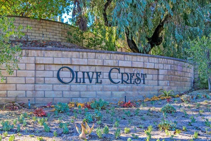 Olive Crest Community Homes For Sale In Encinitas, California