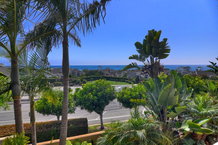 Image of the Ocean View from 39 Palm Beach, Dana Point, CA