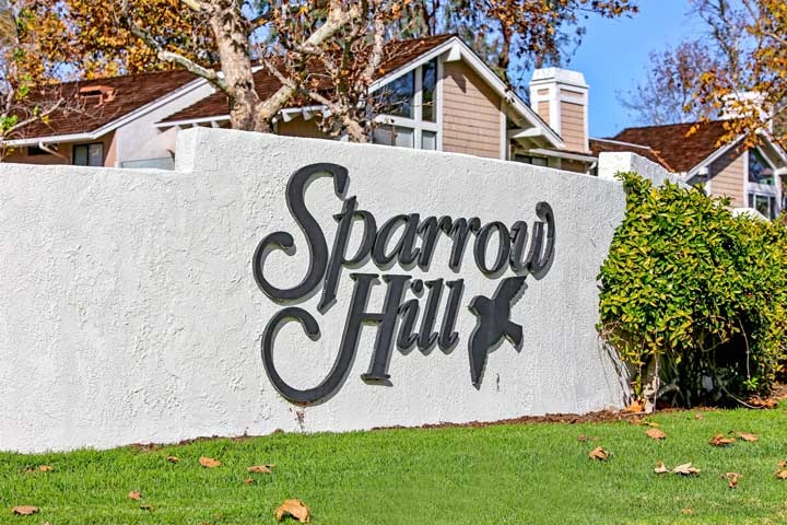 Sparrow Hill Homes For Sale in Laguna Niguel, CA