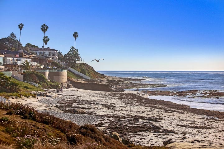 Wind & Sea La Jolla Homes For Sale - Beach Cities Real Estate