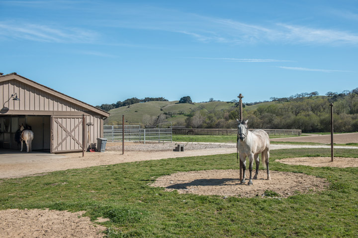 Santa Lucia Preserve Horse Barn